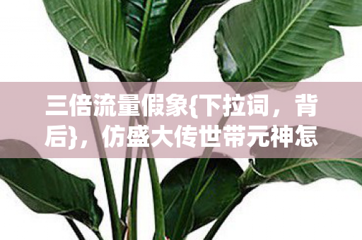 仿盛大传世带元神怎让玩家心寒图片