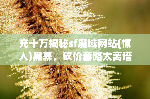 充十万揭秘sf魔域网站图片