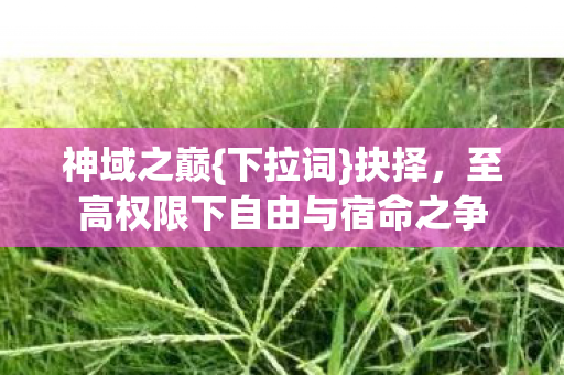 至高权限下自由与宿命之争图片