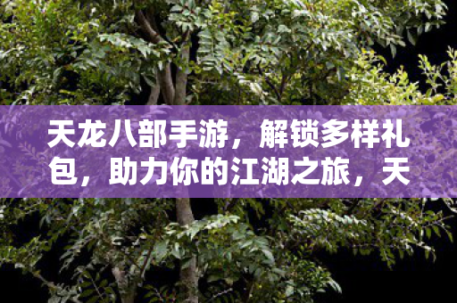 天龙八部手游,解锁多样礼包,助力你的江湖之旅,天龙八部手游解锁多样礼包,助力江湖之旅 天龙八部手游,解锁多样礼包,助力你的江湖之旅,天龙八部手游解锁多样礼包,助力江湖之旅