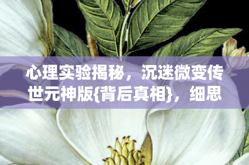 沉迷微变传世元神版图片