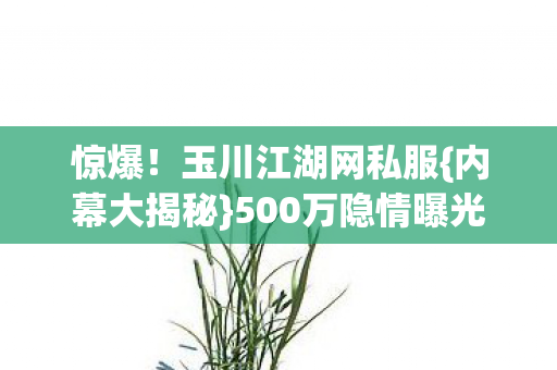 500万隐情曝光图片
