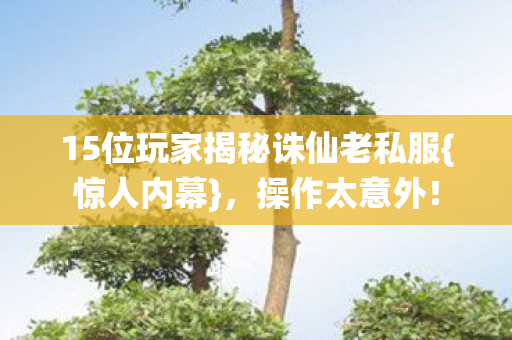 15位玩家揭秘诛仙老私服图片