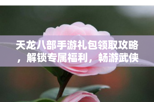 天龙八部手游礼包领取攻略图片