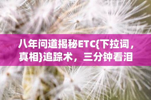 八年问道揭秘ETC{下拉词，真相}追踪术，三分钟看泪目彩蛋