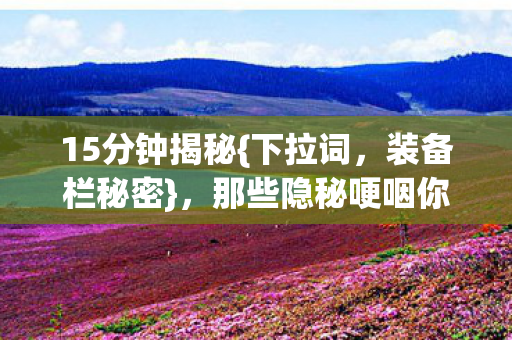 15分钟揭秘{下拉词，装备栏秘密}，那些隐秘哽咽你忆起否？