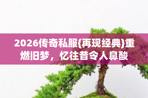 2026传奇私服{再现经典}重燃旧梦,忆往昔令人鼻酸 2026传奇私服{再现经典}重燃旧梦,忆往昔令人鼻酸
