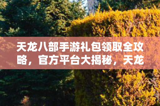 天龙八部手游礼包领取全攻略图片