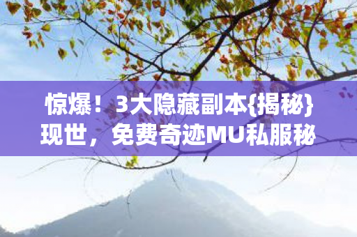 免费奇迹MU私服秘密图片