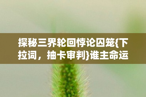 探秘三界轮回悖论囚笼图片