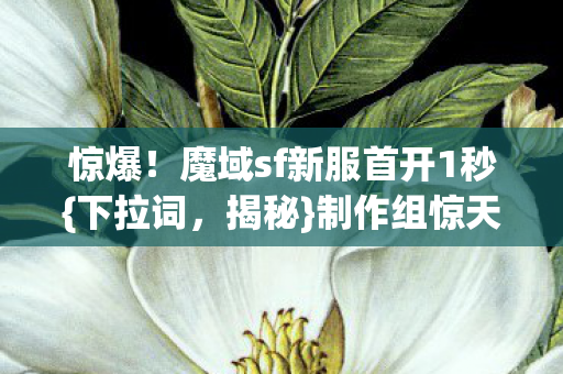 魔域sf新服首开1秒图片