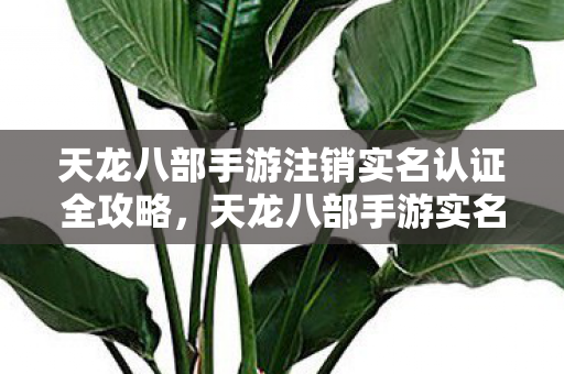 天龙八部手游注销实名认证全攻略,天龙八部手游实名认证注销全攻略 天龙八部手游注销实名认证全攻略,天龙八部手游实名认证注销全攻略