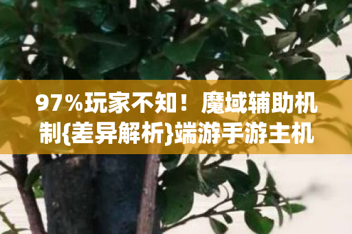 端游手游主机大不同图片