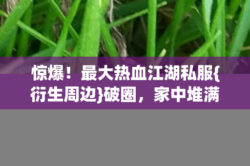 最大热血江湖私服图片