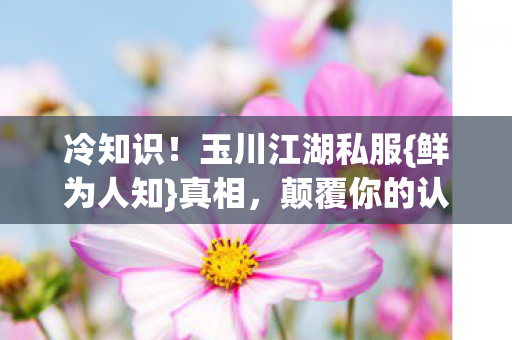 玉川江湖私服图片