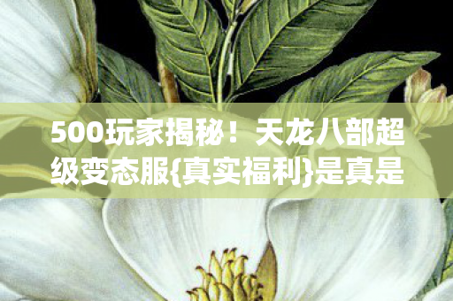 500玩家揭秘！天龙八部超级变态服{真实福利}是真是假？