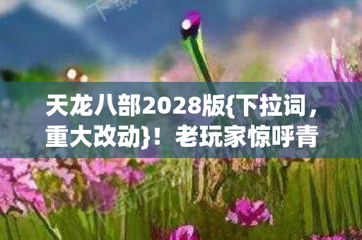 天龙八部2028版{下拉词，重大改动}！老玩家惊呼青春变样？