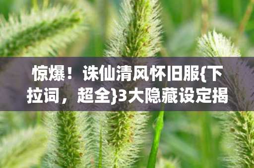 3大隐藏设定揭秘图片
