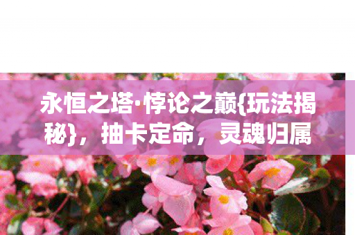 灵魂归属谁图片