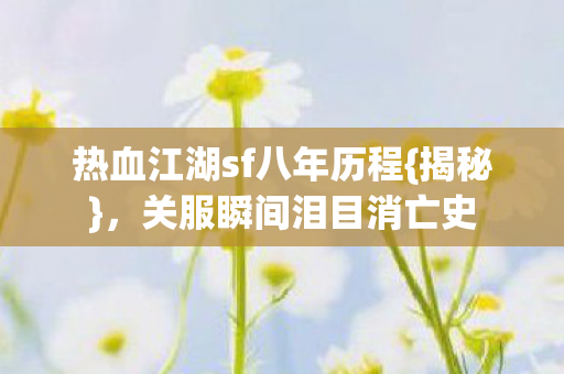 热血江湖sf八年历程图片