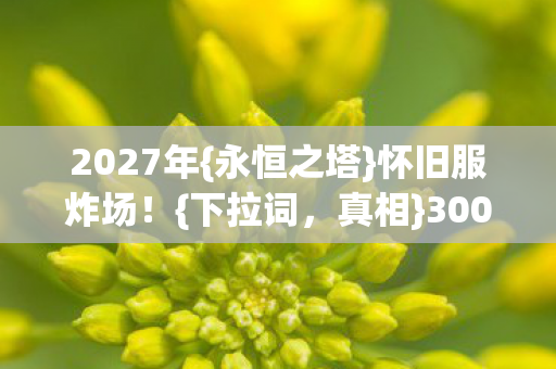 3000老玩家破防揭秘图片