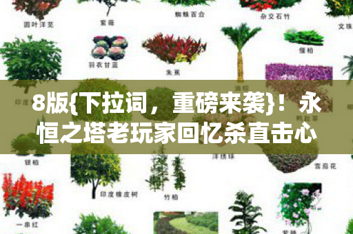 永恒之塔老玩家回忆杀直击心房图片