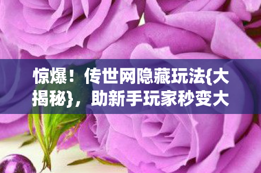 助新手玩家秒变大神图片