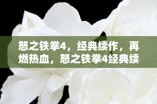 怒之铁拳4,经典续作,再燃热血,怒之铁拳4经典续作,再燃热血激情! 怒之铁拳4,经典续作,再燃热血,怒之铁拳4经典续作,再燃热血激情!