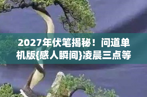 2027年伏笔揭秘！问道单机版{感人瞬间}凌晨三点等你泪目