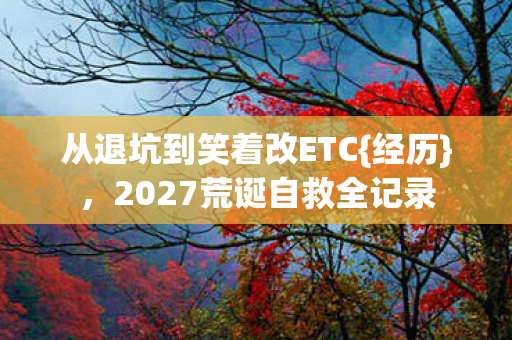 从退坑到笑着改ETC{经历}，2027荒诞自救全记录