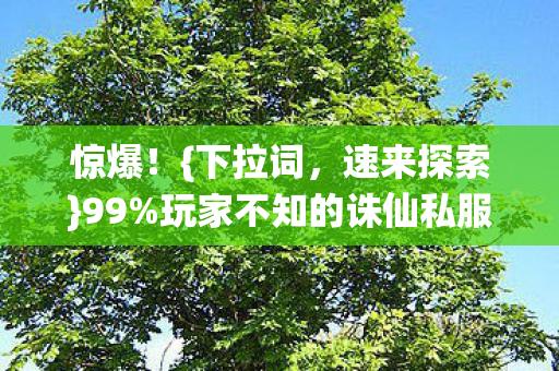 玩家不知的诛仙私服新天地图片
