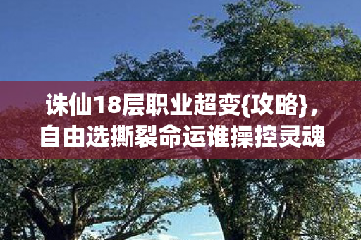 自由选撕裂命运谁操控灵魂图片