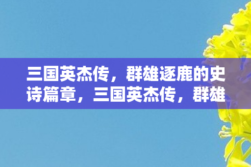 三国英杰传,群雄逐鹿的史诗篇章,三国英杰传,群雄逐鹿的史诗篇章 三国英杰传,群雄逐鹿的史诗篇章,三国英杰传,群雄逐鹿的史诗篇章