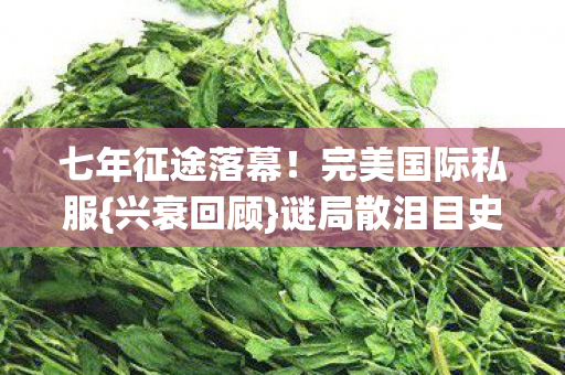 七年征途落幕图片