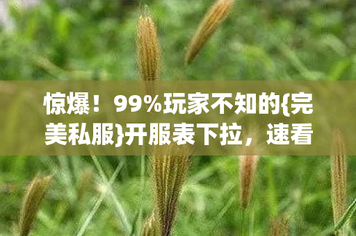 惊爆!99%玩家不知的{完美私服}开服表下拉,速看! 惊爆!99%玩家不知的{完美私服}开服表下拉,速看!