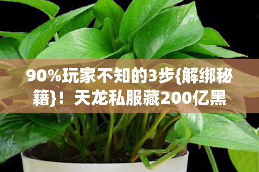 天龙私服藏200亿黑金池图片