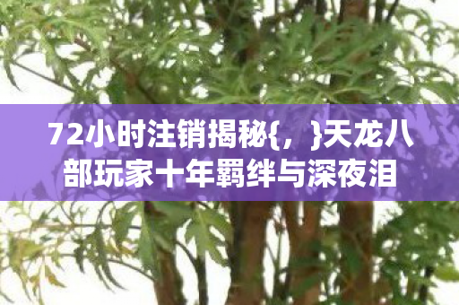 天龙八部玩家十年羁绊与深夜泪图片