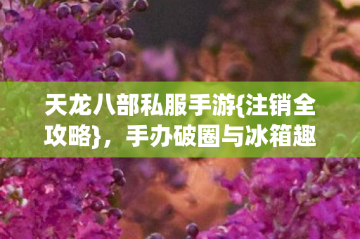 手办破圈与冰箱趣事图片