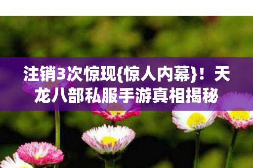 天龙八部私服手游真相揭秘图片
