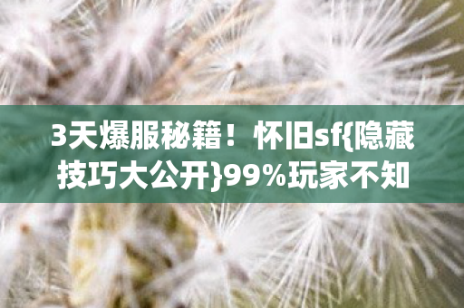 隐藏技巧大公开图片