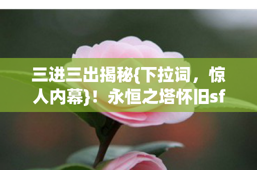 永恒之塔怀旧sf网真相图片