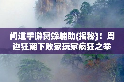 周边狂潮下败家玩家疯狂之举图片