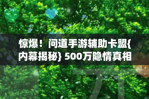 500万隐情真相曝光图片