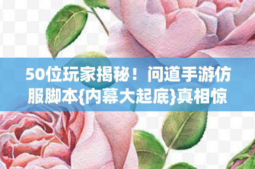 问道手游仿服脚本图片