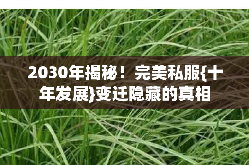 2030年揭秘图片