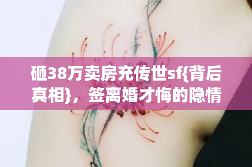 砸38万卖房充传世sf图片