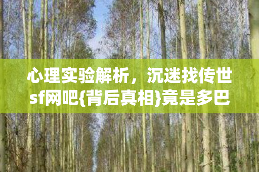 沉迷找传世sf网吧图片