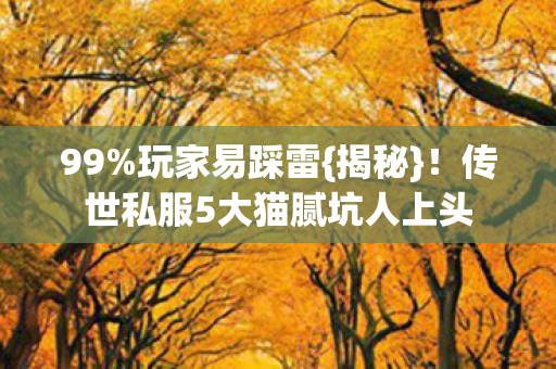 传世私服5大猫腻坑人上头图片