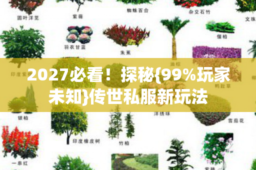 2027必看!探秘{99%玩家未知}传世私服新玩法 2027必看!探秘{99%玩家未知}传世私服新玩法