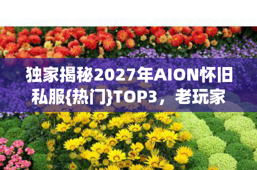 独家揭秘2027年AION怀旧私服图片
